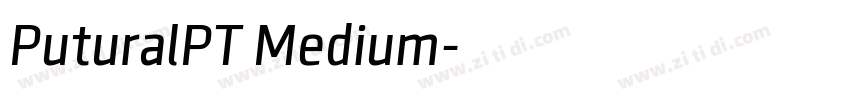 PuturalPT Medium字体转换